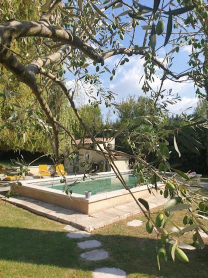 Mas Des Muses Bed & Breakfast LʼIsle-sur-la-Sorgue Exterior foto